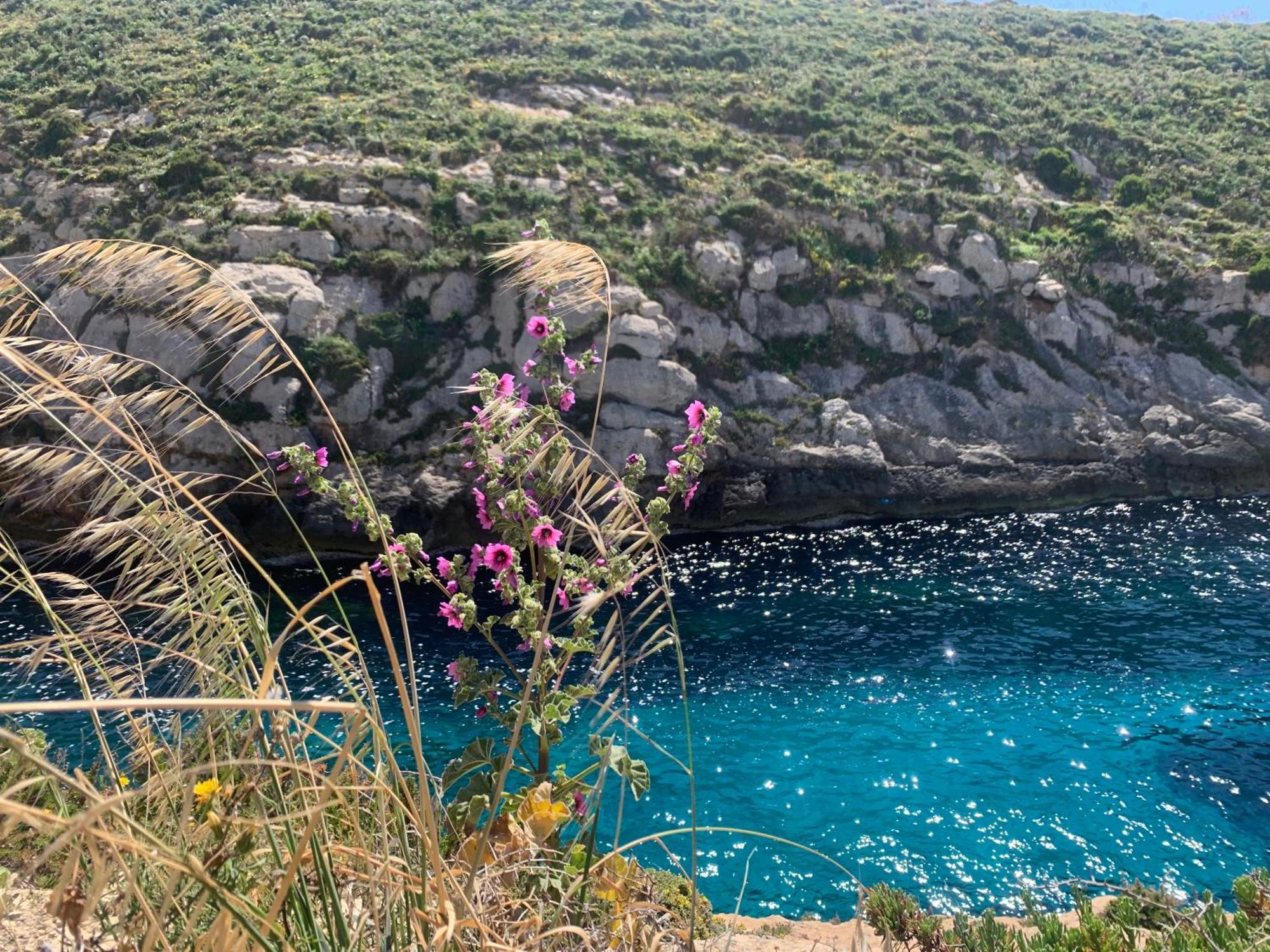 Private Bedroom With Balcony In A Shared Apartment At The Bay Of Xlendi Exterior photo